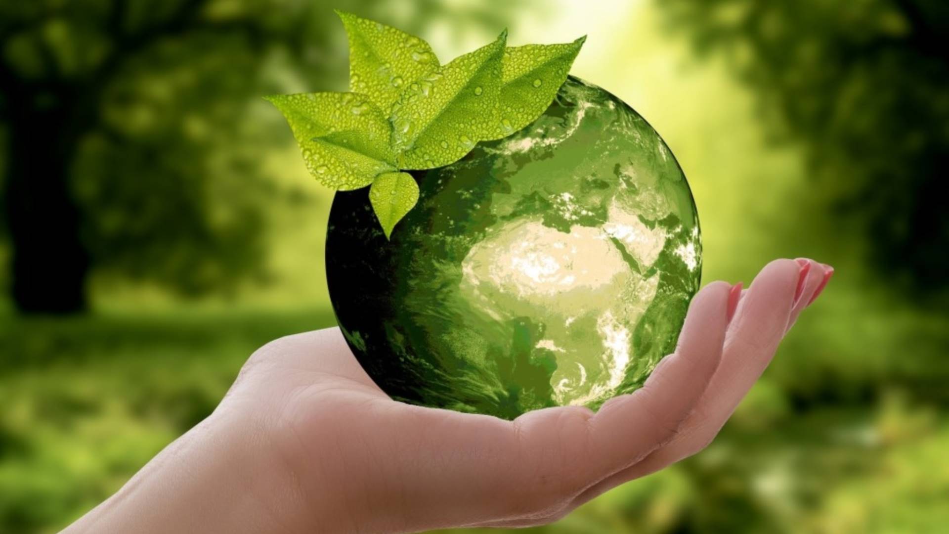 Naturopatia I livello