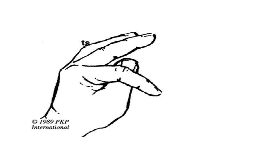 P.K.P. 1