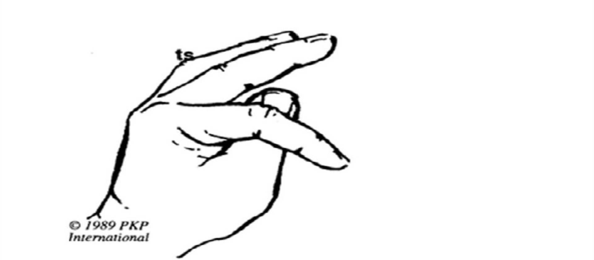 P.K.P. Porofessional Kinesiology Practice 1